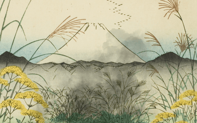 거대 언어 모델은 컴파일러의 꿈을 꾸는가